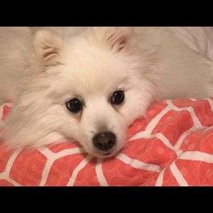 Meet your Posher, Katrina